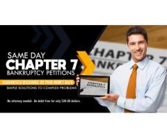 Chapter 7 & 13 Bankruptcy Petitions